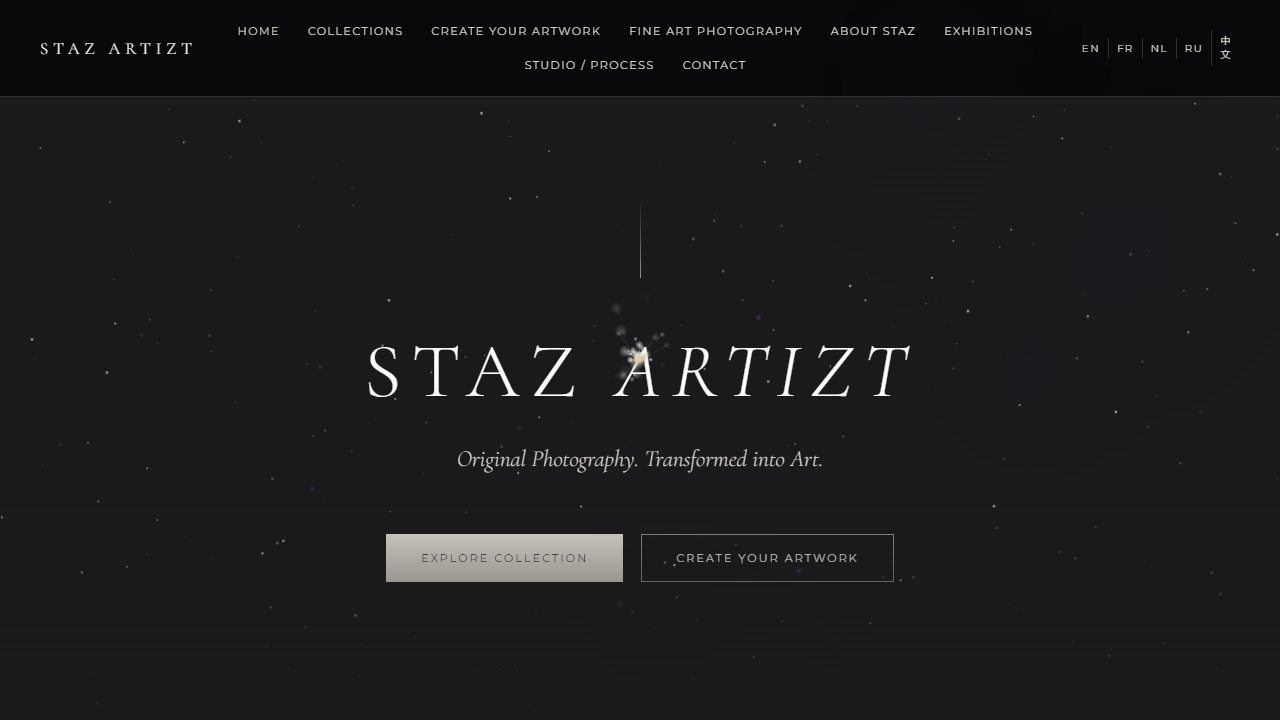 Скриншот сайта STAZ ARTIZT (stazarts.com)